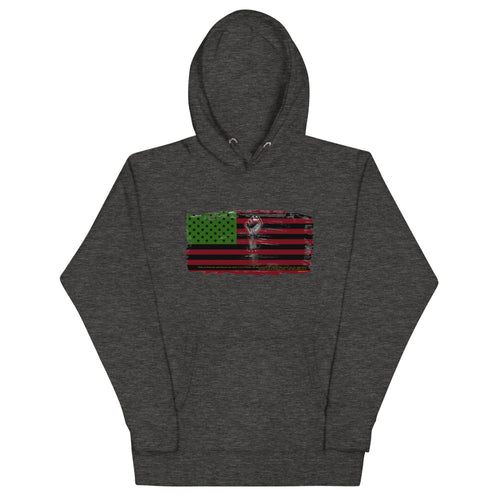 AA Flag MooDy Fist Hoodie image 0