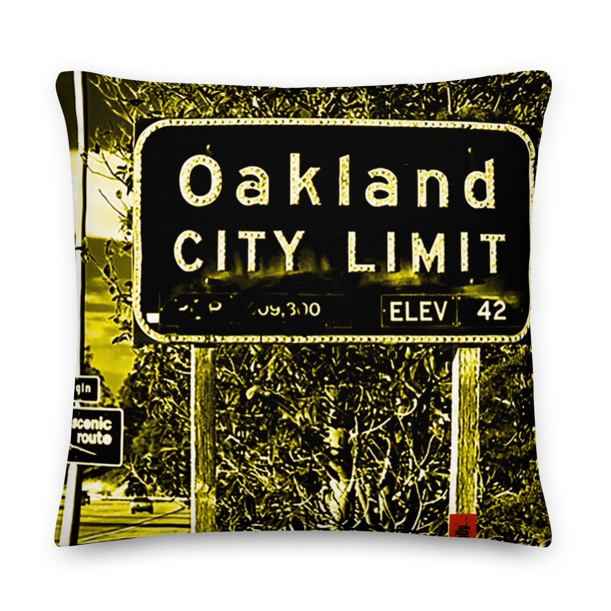 Oak City Premium Pillow image 22