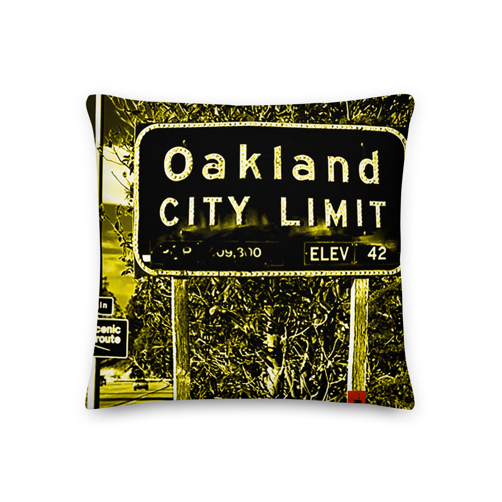 Oak City Premium Pillow image 45