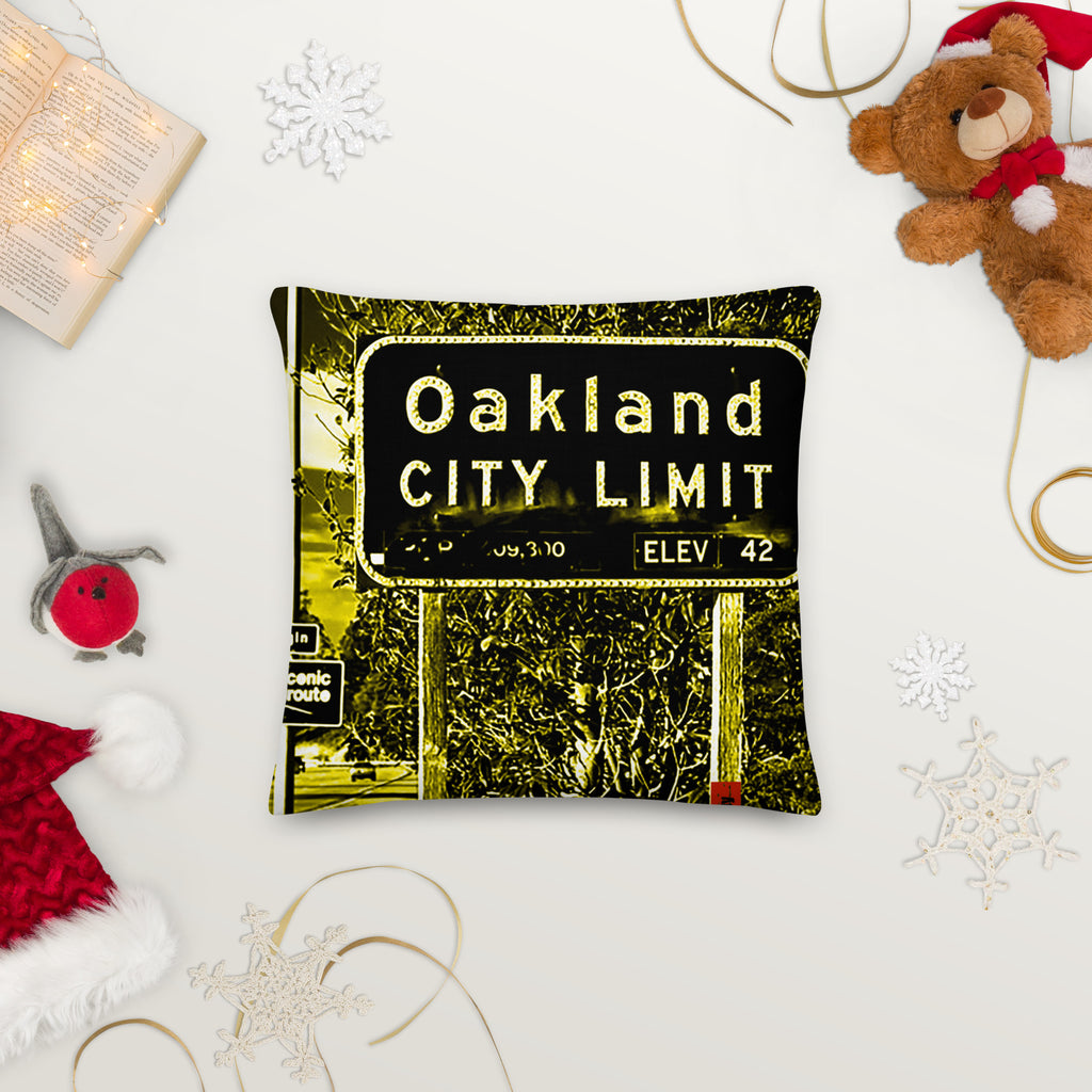 Oak City Premium Pillow image 44