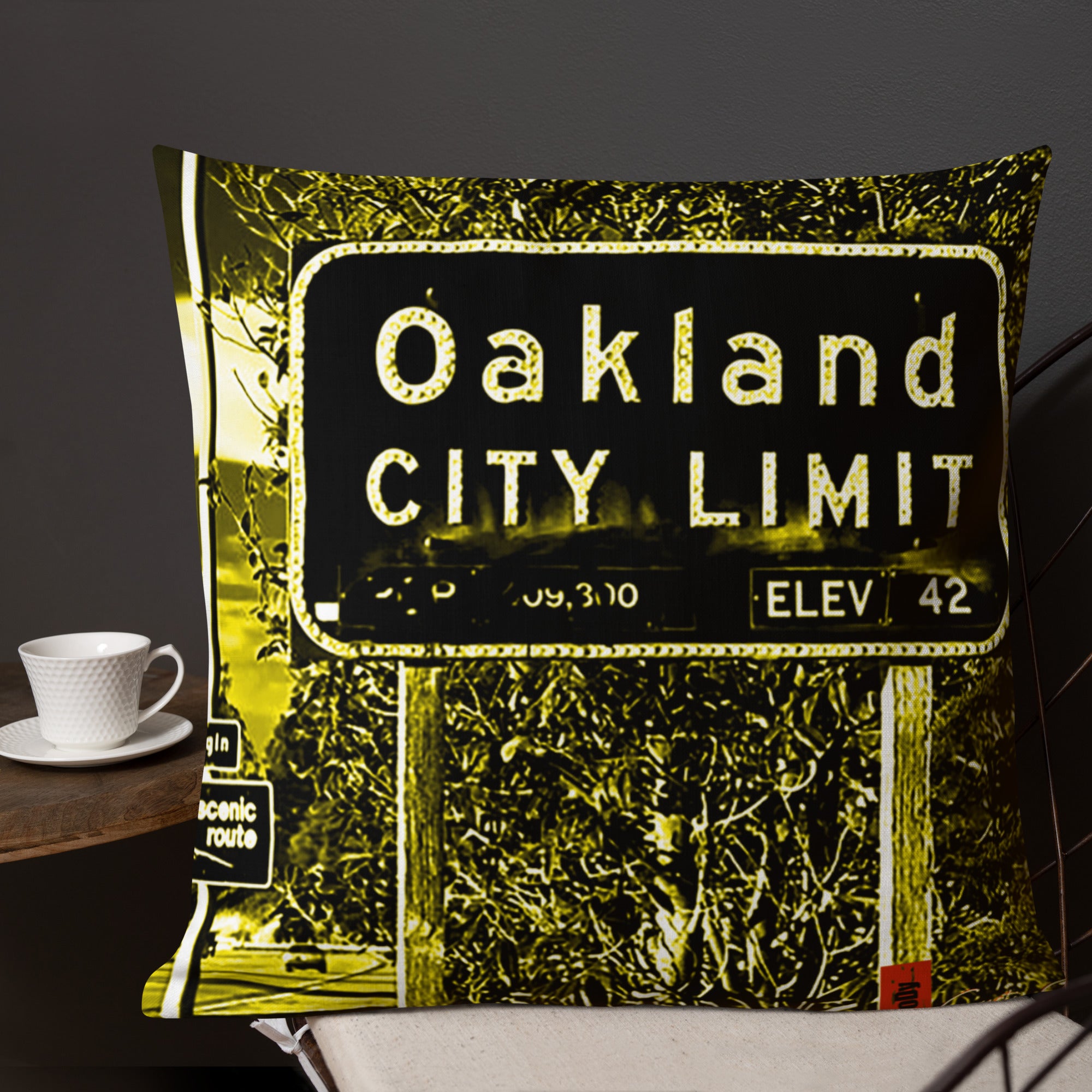 Oak City Premium Pillow image 27
