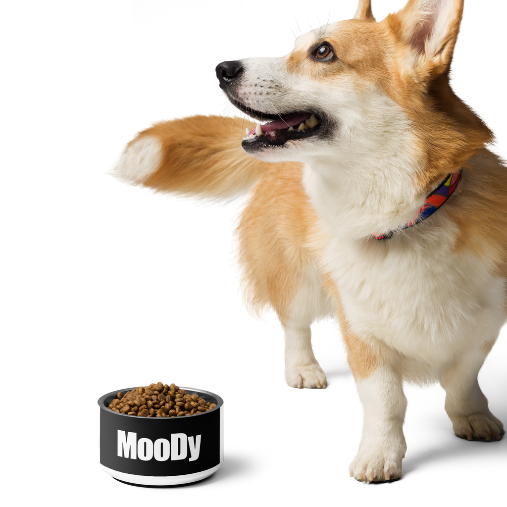 MooDy Dog Food / Pet food bowl/ Pet Water Bowl