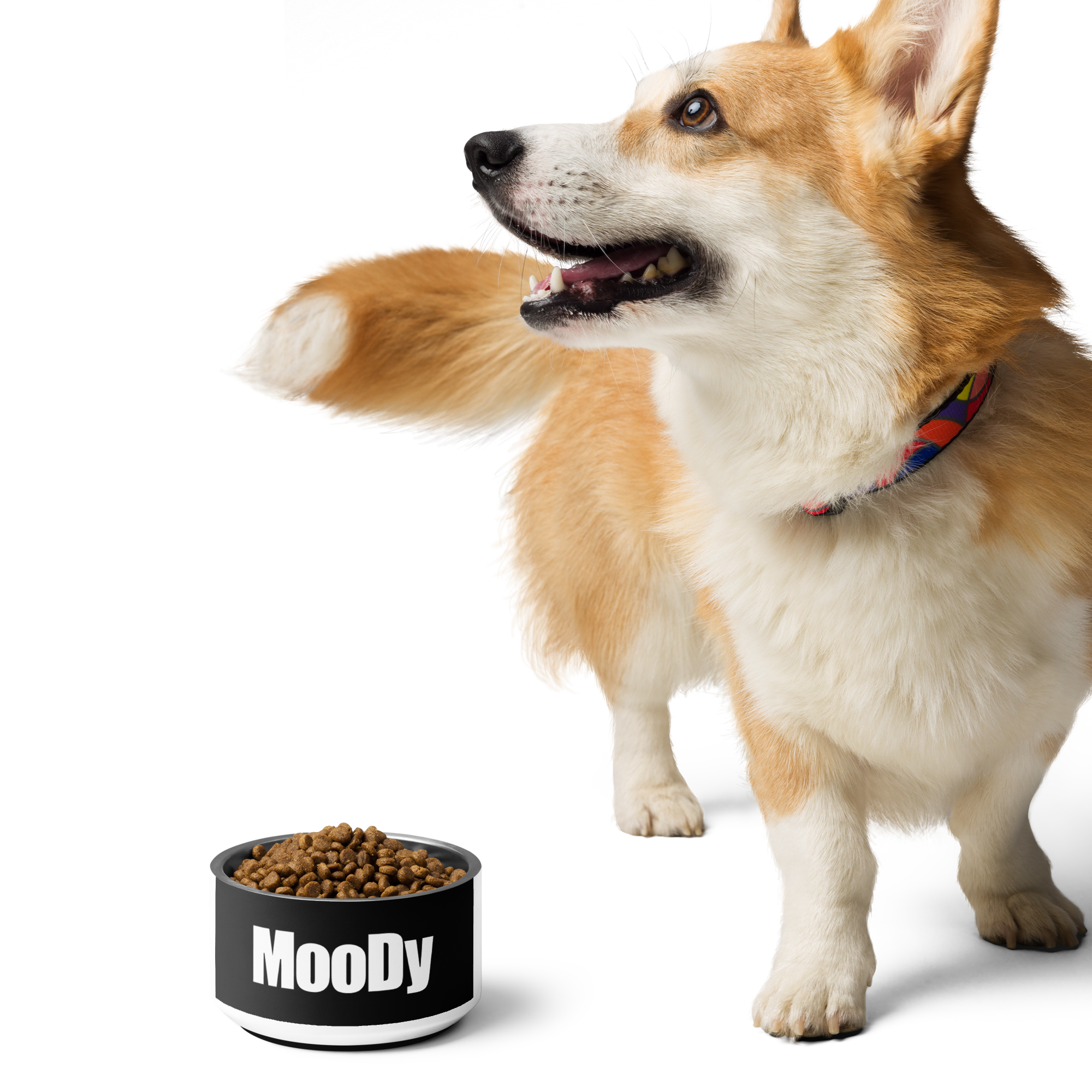 MooDy Dog Food / Pet food bowl/ Pet Water Bowl