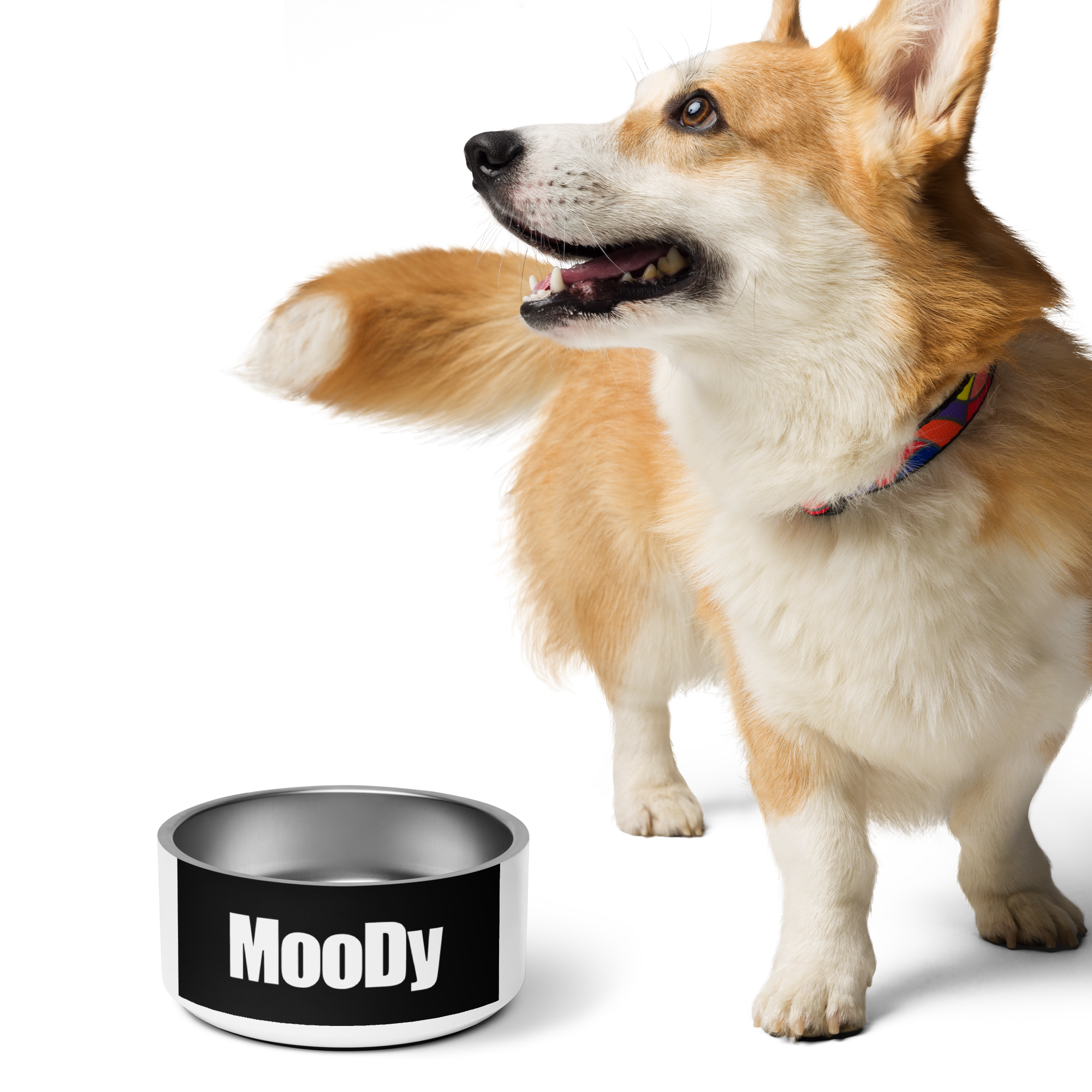 MooDy Dog Food / Pet food bowl/ Pet Water Bowl