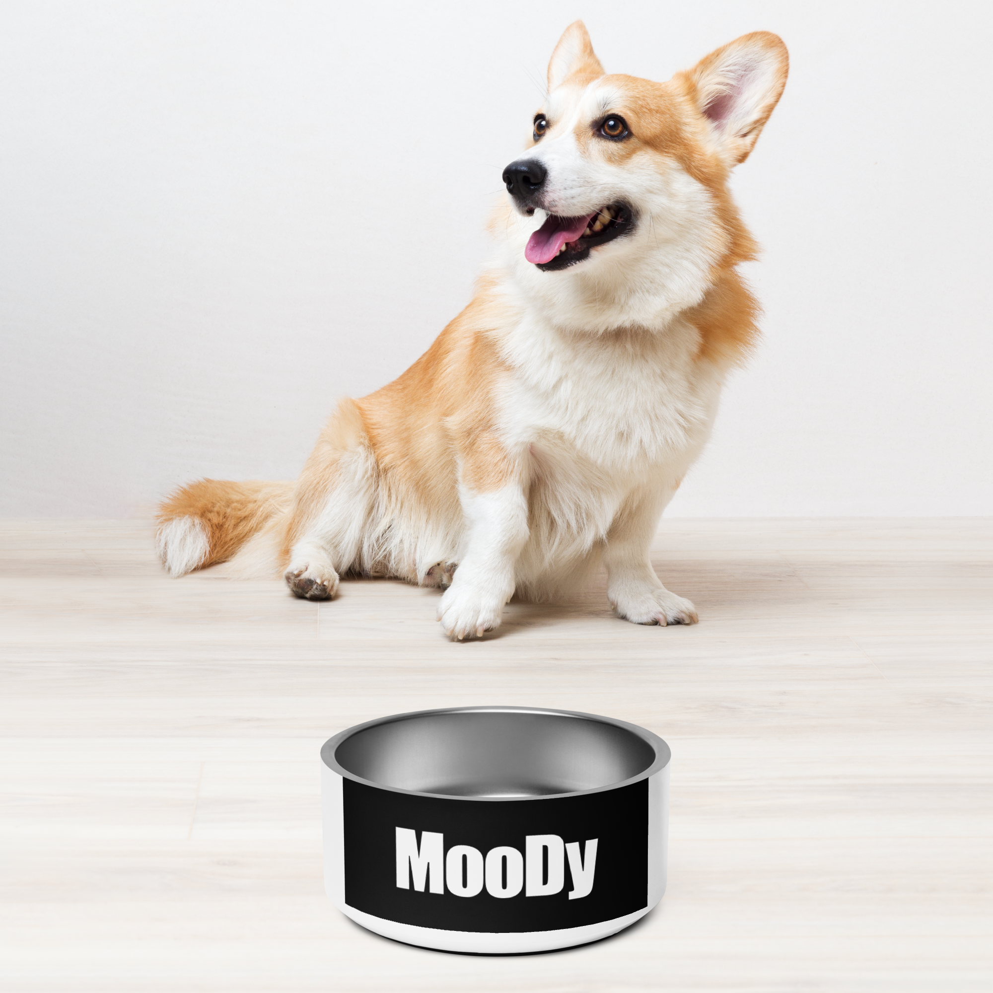 MooDy Dog Food / Pet food bowl/ Pet Water Bowl